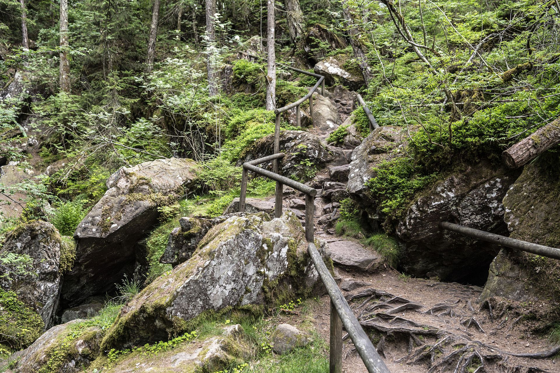 Bild14
